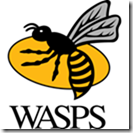 wasps